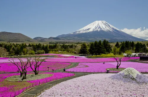 Mt Fuji View and Private Sauna Ryokan Shizuku(No accommodation for 12 years old and below) Unggulan Photos