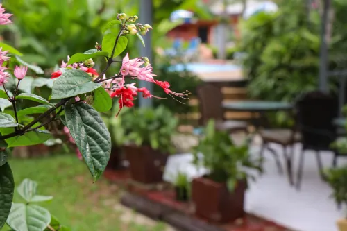 Andaman Seaside Resort Bangtao Beach Exterior Photos