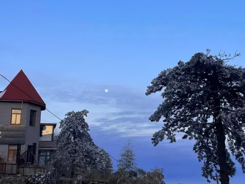 Floral Hotel · Lushan Yue Yao Hotel (Lushan Mountain XiaoTianchi Branch) Photos