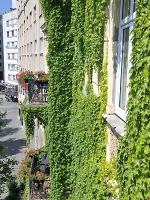 Belgrade City Hotel À proximité de l'hôtel Photos
