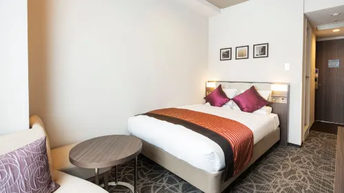 HOTEL MYSTAYS Ueno East Kamar Photos