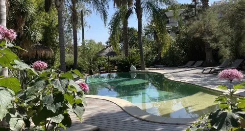 Cannes Villa St Barth : Maison d'hôtes de prestige 5 étoiles à Cannes - Piscine - SPA Loisirs et amusements Photos