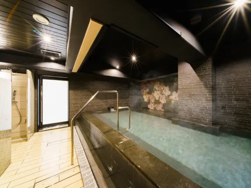 Super Hotel Ikebukuro-Eki Kitaguchi الترفيه والتسلية Photos