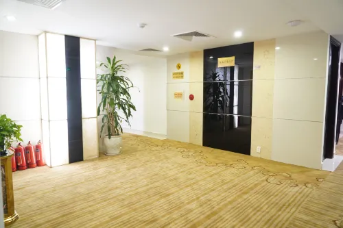 Bao Son International Hotel Area Publik Photos