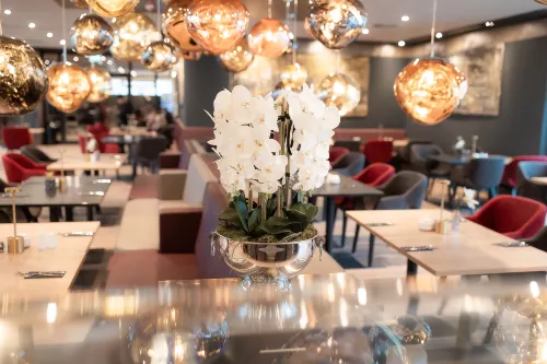 PLAZA Premium Heidelberg Dining Photos