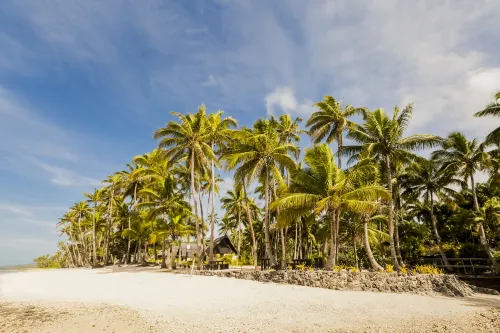 Tambua Sands Beach Resort Hotellin lähellä Photos