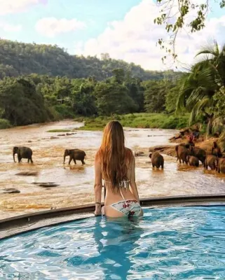 Hotel Elephant Bay Экстерьер Photos