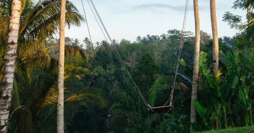 Bobocabin Ubud Bali Photos