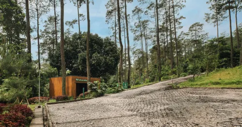 Bobocabin Pacet, Mojokerto À ne pas manquer Photos