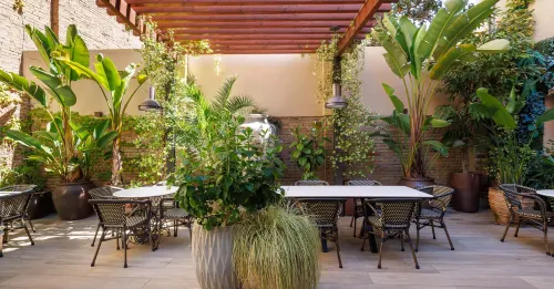 Hotel Ronda Lesseps Featured Photos