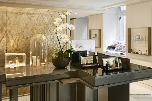 Hotel de Crillon A Rosewood Hotel Benessere e tempo libero Photos