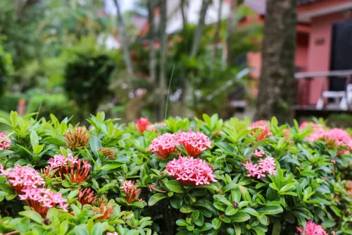 Andaman Seaside Resort Bangtao Beach Photos