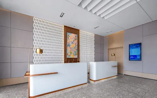 Liyi Hotel (Xi 'an Datang Sleepless City Big Wild Goose Pagoda Subway Station Branch) Espaces publics Photos