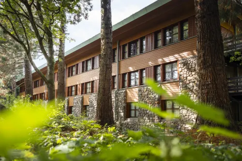Disney Sequoia Lodge À ne pas manquer Photos