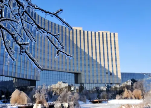 Sheraton Changchun Jingyuetan Hotel À ne pas manquer Photos