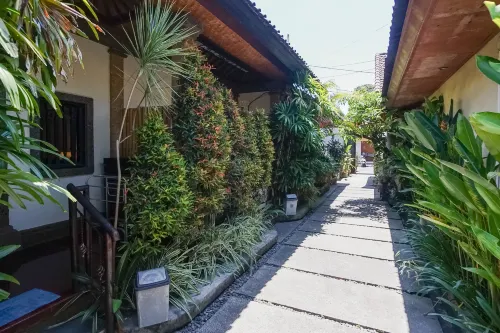 Wayan Homestay Sanur Featured Photos