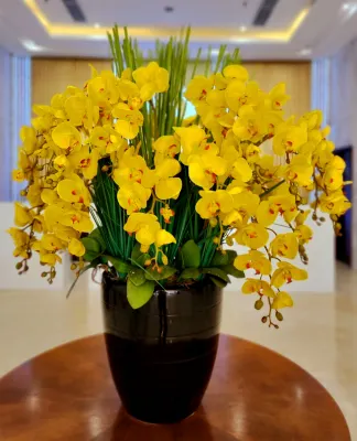 Yarra Ocean Suites Danang Public Areas Photos