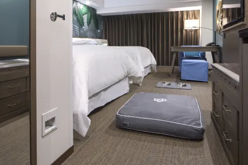 Sheraton Grande Tokyo Bay Hotel Rooms Photos