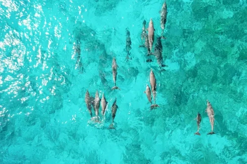 Cheval Blanc Randheli Maldives À proximité de l'hôtel Photos