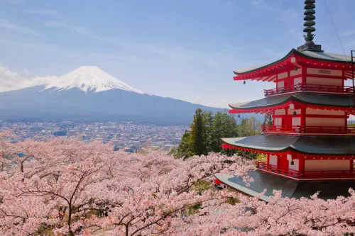 Mt Fuji View and Private Sauna Ryokan Shizuku(No accommodation for 12 years old and below) Unggulan Photos