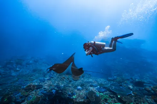 Dive & Dwell Tulamben Избранное Photos