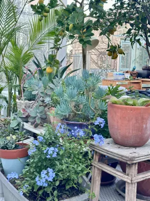 My Beiping Garden Greenhouse Courtyard Hotel (Xidan Financial Street Branch) Photos