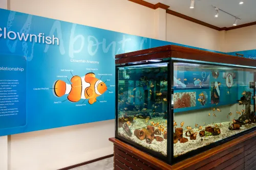 SAii Phi Phi Island Village Leisure & Recreation Photos