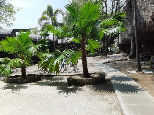 Mola2 Resort Gili Air Kamar Photos