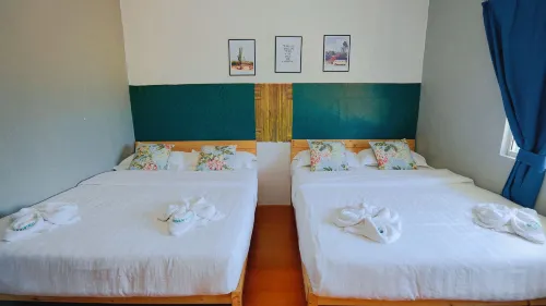 Rainforest· Jiuqi Holiday Rooms Photos