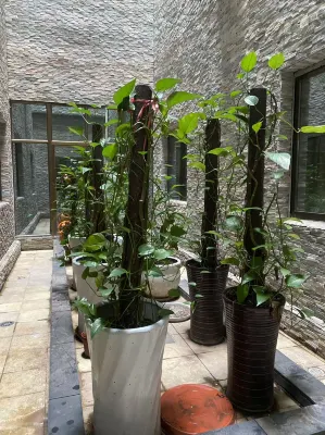 Xiamen Silver Sea Blue Hotel Exterior Photos