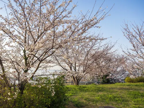 KAMENOI HOTEL AWAJISHIMA Extérieur Photos