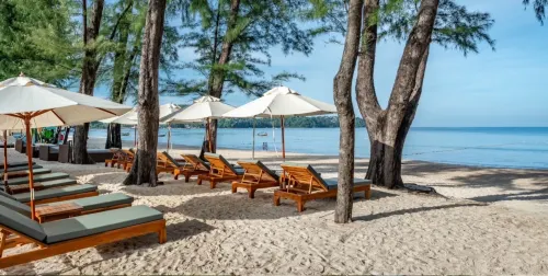 Amora Beach Resort Phuket Общественные зоны Photos
