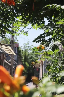 My Beiping Garden Greenhouse Courtyard Hotel (Xidan Financial Street Branch) In der Nähe des Hotels Photos
