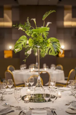 Vienna Marriott Hotel Ristorazione Photos