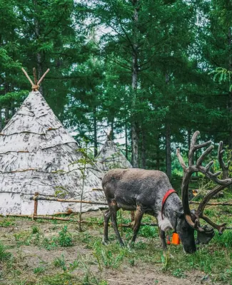 Jilin Province Changbai Mountain Atour Project Near Hotel Photos
