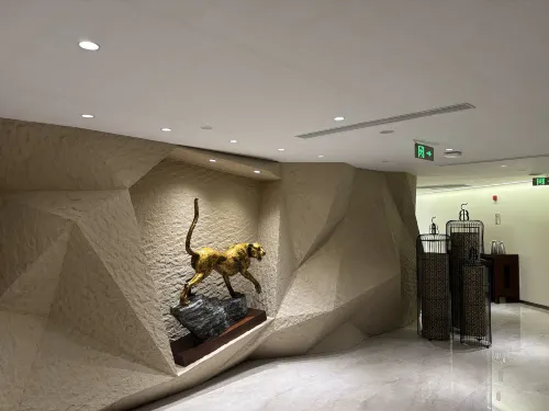 Baolong Hotel Public Areas Photos