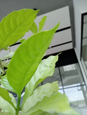 Hatyai Midtown Hotel Photos