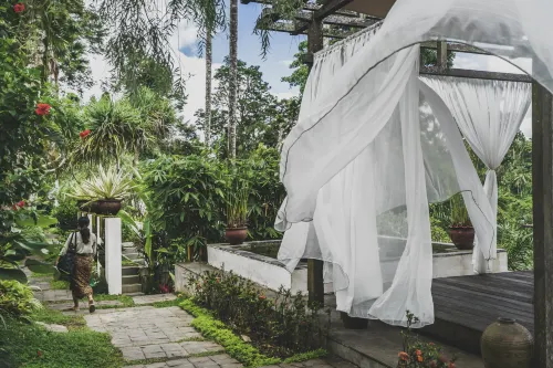 Amora Ubud Boutique Villas À ne pas manquer Photos