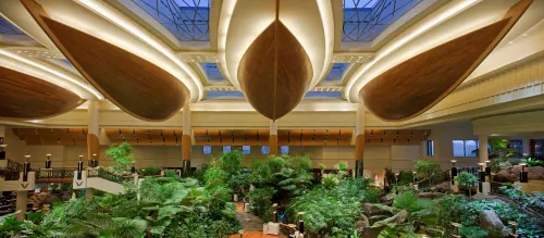Grand Hyatt Dubai Da non perdere Photos