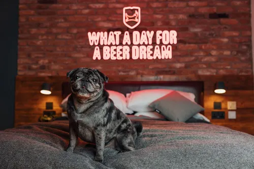 BrewDog DogHouse Edinburgh Photos