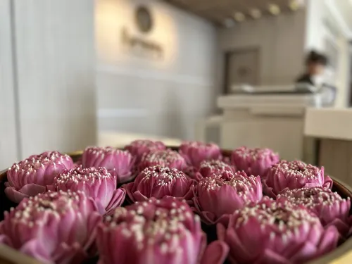 Harmony Phnom Penh Hotel Public Areas Photos
