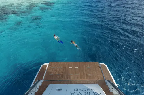 The St. Regis Maldives Vommuli Resort À proximité de l'hôtel Photos