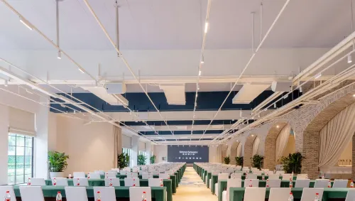 Springwoods Club Palm Tree Hotel Business Facilities Photos