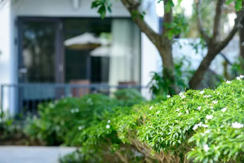Senvila Boutique Resort & Spa Ngoại thất Photos