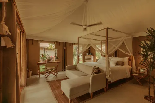 Twinpalms Tented Camp Phuket 객실 Photos