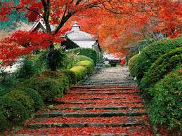 Tanya_s