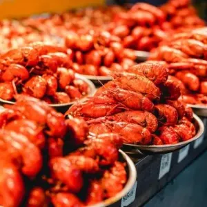【長沙美食】2026長沙美食盤點!附餐廳推薦、當地景點