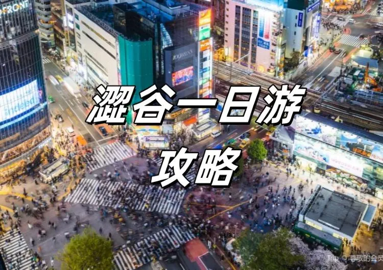 【澀谷攻略】2026東京澀谷一日游！澀谷逛街必去及購物推薦、必吃美食、住宿推薦大攻略