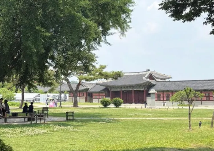 【한국 볼거리】서울, 부산, 제주도 중심 한국 인기 도시 여행지 베스트 10 & 자연을 즐길 수 있는 추천 명소
