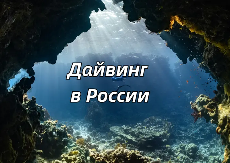 Дайвинг в России для новичков 2026: суть, лучшие места, подготовка 